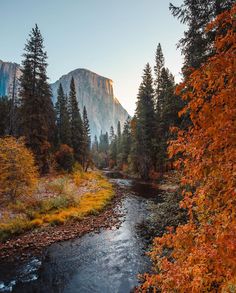 a river running through a forest filled with trees covered in fall foliage and surrounded by tall mountains