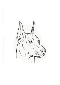 a drawing of a dog's head in black and white, with the words doberman