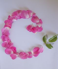 pink and white flowers arranged in the shape of a letter o on a white background