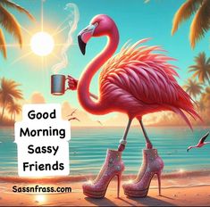 a pink flamingo standing on top of a sandy beach next to the ocean with a cup of coffee