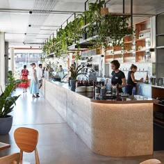 the interior of a restaurant with people standing at the counter and plants hanging from the ceiling