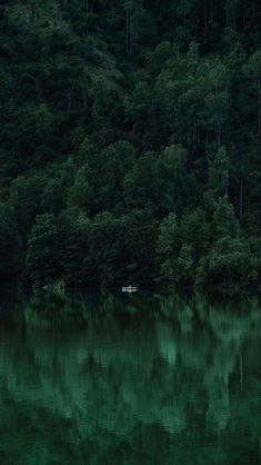 a boat floating on top of a lake surrounded by green trees in the background with a yellow frame around it