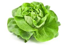 a green leafy vegetable on a white background