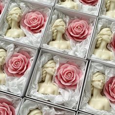 several pink and white roses are placed in small plastic boxes on top of each other