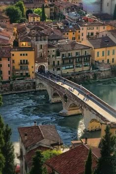 the collage shows different views of buildings and a bridge over a river with flowers on it