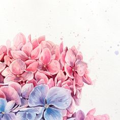 watercolor painting of pink and purple flowers