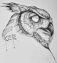 a drawing of an owl's head with the eye open and its beak showing