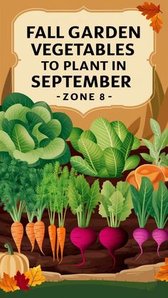 a garden with lots of vegetables and the words fall garden vegetables to plant in november - zone 8