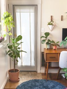 a living room filled with furniture and lots of green plants on top of a rug