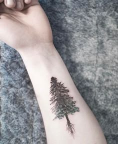 a small pine tree tattoo on the wrist