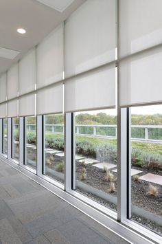 an empty building with many windows and plants