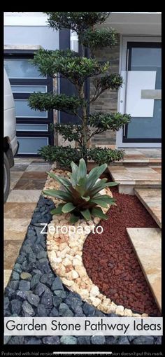 a garden stone pathway with plants and rocks