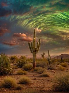 a large cactus in the middle of a desert with green and purple clouds above it