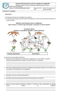 an animal life cycle worksheet with animals and plants in the middle of it