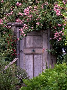 an old wooden door surrounded by flowers and greenery in the garden with pink roses growing over it