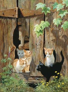 three cats are standing in front of a wooden fence