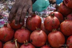 a person picking pomegranates from a pile