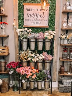 a bunch of flowers that are sitting on a shelf in front of a sign and some shelves