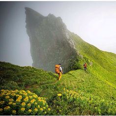 two people hiking up the side of a green mountain with yellow flowers in front of them