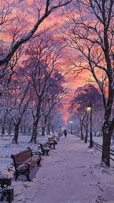 a snowy park with benches and trees at sunset