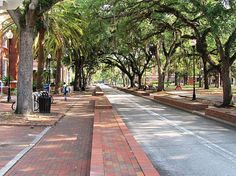 a street lined with trees and benches on both sides, surrounded by brick walkways