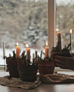 a person lighting candles on a table with potted plants in front of a window