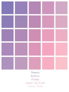 the color scheme for thomas aster's plum, sweet william tulip pink