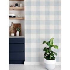 a potted plant sitting on top of a white floor next to a blue dresser