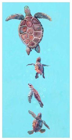 Momma And Baby Turtles Wall Art-Wall Art-Jack and Jill Boutique Underwater Paintings, Baby Sea Turtles, Follow The Leader, Fabric Wall Decals