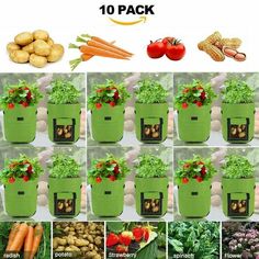 10 Pack Potato Grow Bags 7 Gallon Heavy-Duty Plant Bag Garden Vegetable Planter Strawberry Spinach, Garden Vegetable, Rare Flowers, Trumpets