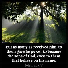 a tree with the sun shining through it and a quote from john kjv