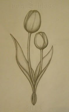 a drawing of two flowers on a sheet of paper