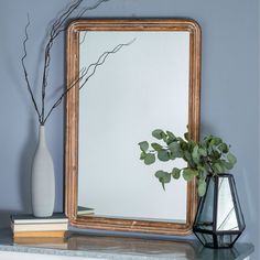 a mirror sitting on top of a table next to a vase with a plant in it