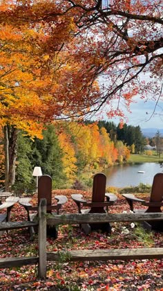 three wooden benches sitting on top of a field covered in leaves