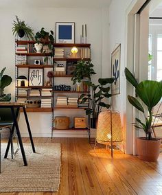 a living room filled with furniture and lots of plants