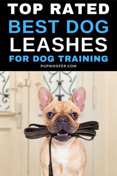 the top rated best dog leashes for dogs training is shown in this image with text overlay