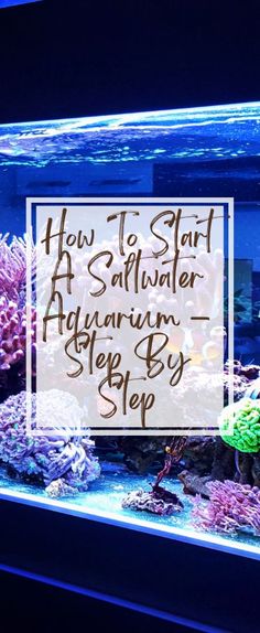 an aquarium with the words how to start a saltwater aquarium step by step