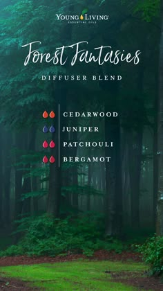 Popular Diffuser Blends, Acotar Diffuser Blends, Thyme Essential Oil Diffuser Blends, Lilin Aroma, Expensive Candles, Juniper Essential Oil, Essential Oil Combinations, Essential Oil Diffuser Blends Recipes, Young Living Essential Oils Recipes