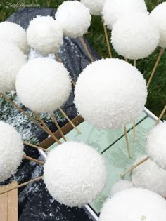 snow covered balls and sticks sticking out of the ground