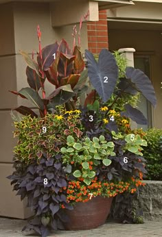 a large potted plant with numbers on it