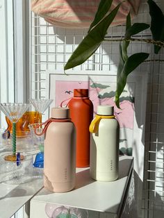 three different colored water bottles sitting on a counter next to a potted plant and glassware