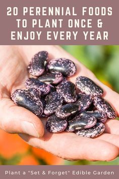 someone holding out their hand full of small black and white flowers with text overlay that reads, 20 perennial foods to plant once & enjoy every year