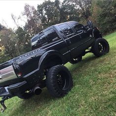 a large black truck parked on top of a lush green field