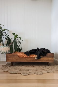 a black dog laying on top of a wooden bed in front of a potted plant