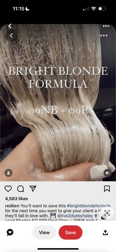 Cream Blonde Toner Formula, Butter Blonde Redken Formula, Champagne Blonde Hair Color Formula, Butter Blonde Hair Formula, Bleached And Toned Hair, Cool Blonde Shades Eq Formula, Redken Vro Shades Eq, Redken Color Fusion Formulas, Bright Blonde Toner Formula