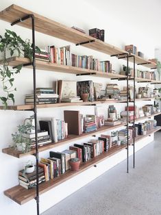 the bookshelves are filled with many different types of books and plants on them