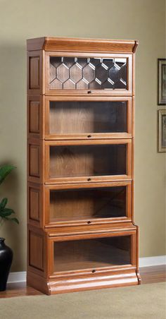 a wooden bookcase with glass doors and drawers on the bottom shelf in front of a potted plant