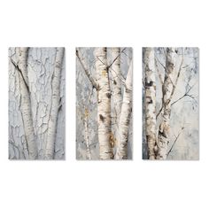 three paintings of birch trees in grey and white, one with yellow leaves on it