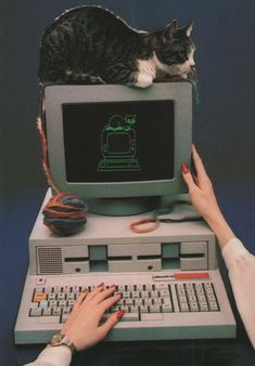 a cat sitting on top of an old computer with a woman's hand next to it