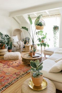 a living room filled with lots of furniture and plants